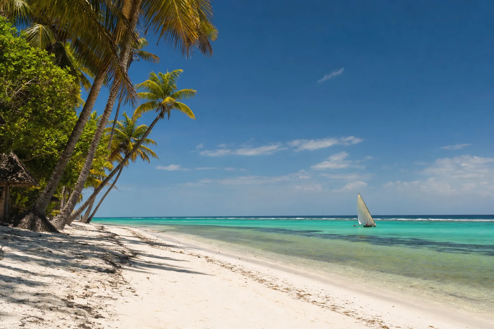 Wasini, Kisite & Tsavo โ day trips from Diani Beach & Mombasa - A wooden dhow to the marine park, snorkelling over the reef, or a long day among Tsavo's elephants. We hand-pick the day trips actually worth booking and say openly what each price includes โ sightings, at sea or on safari, never promised. Wasini, Kisite & Tsavo โ day trips from Diani Beach & Mombasa